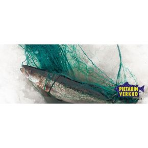 IronSilk Monikuituverkko