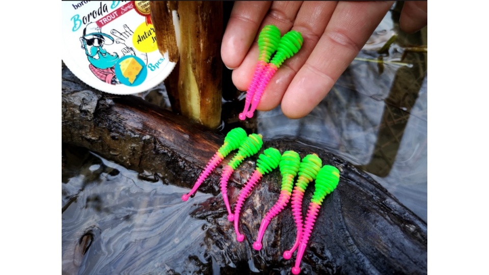 Boroda Baits