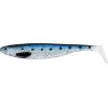 Spotted sardine
