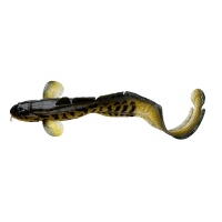 Burbot