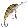 Nordic Holo Perch