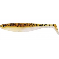 Baitfish