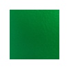 Color Leaf Green