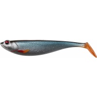 Roach