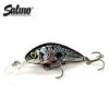 BLACK SLIVER SHAD