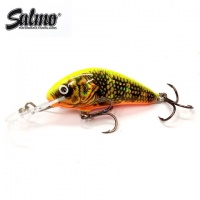 GOLD FLUO PERCH