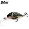 Holographic grey shiner sinking