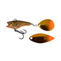 Golden Roach