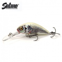 SILVER WHITE SHAD