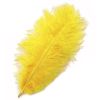 FL.Yellow