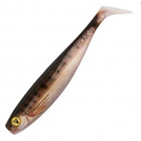 Zander