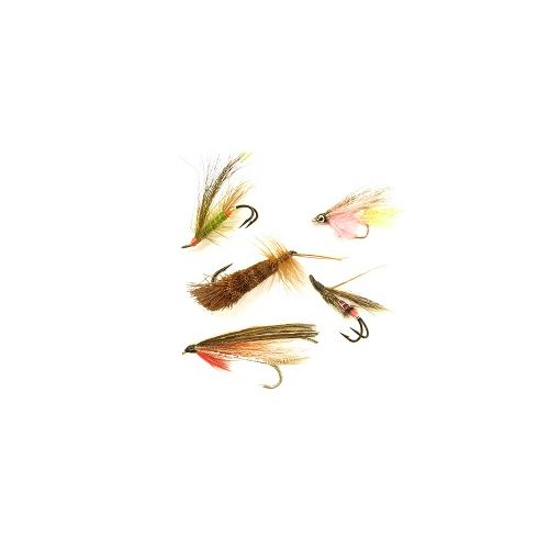 Perhosetti Lohi/taimen